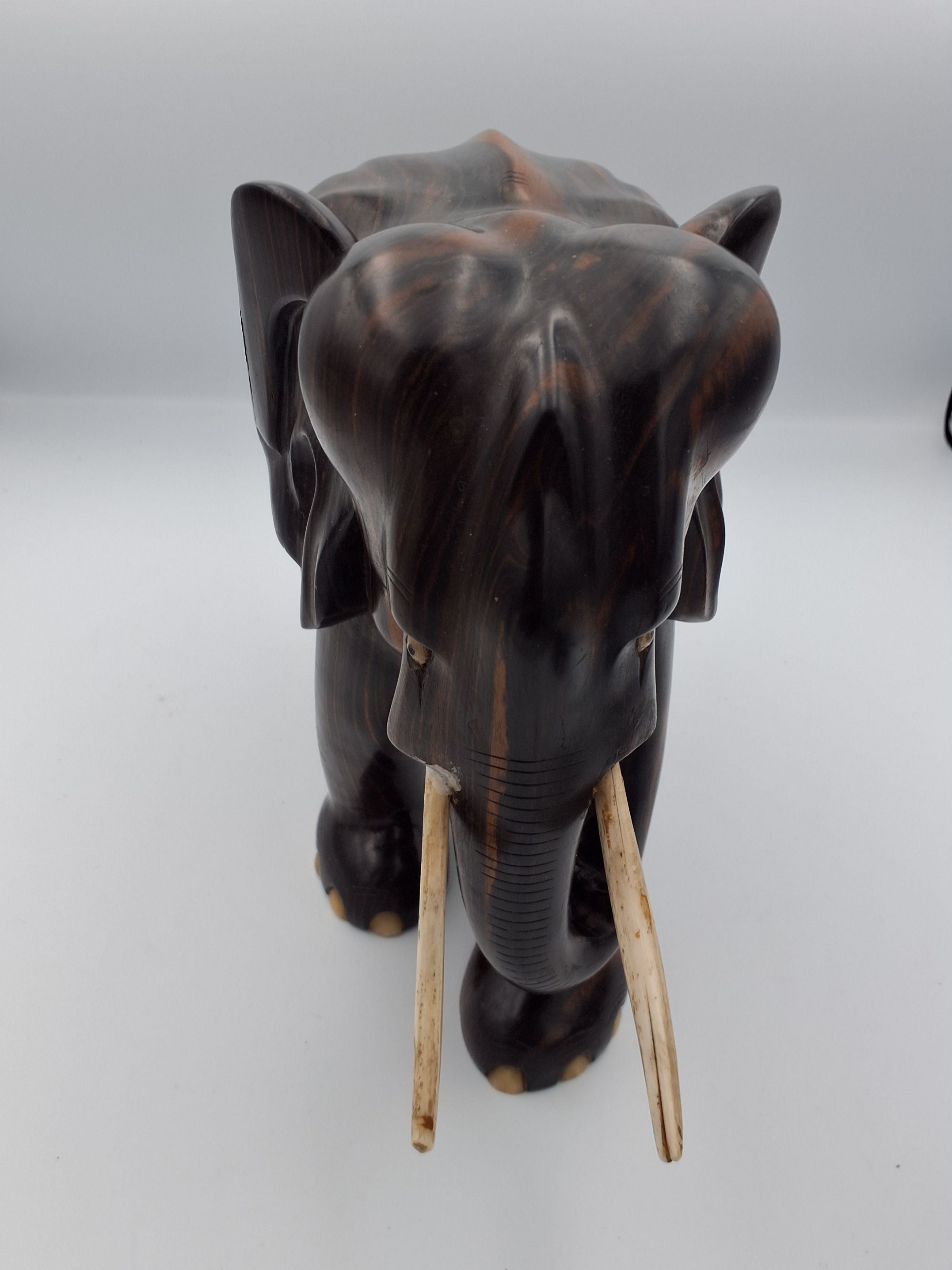 Elefant stor